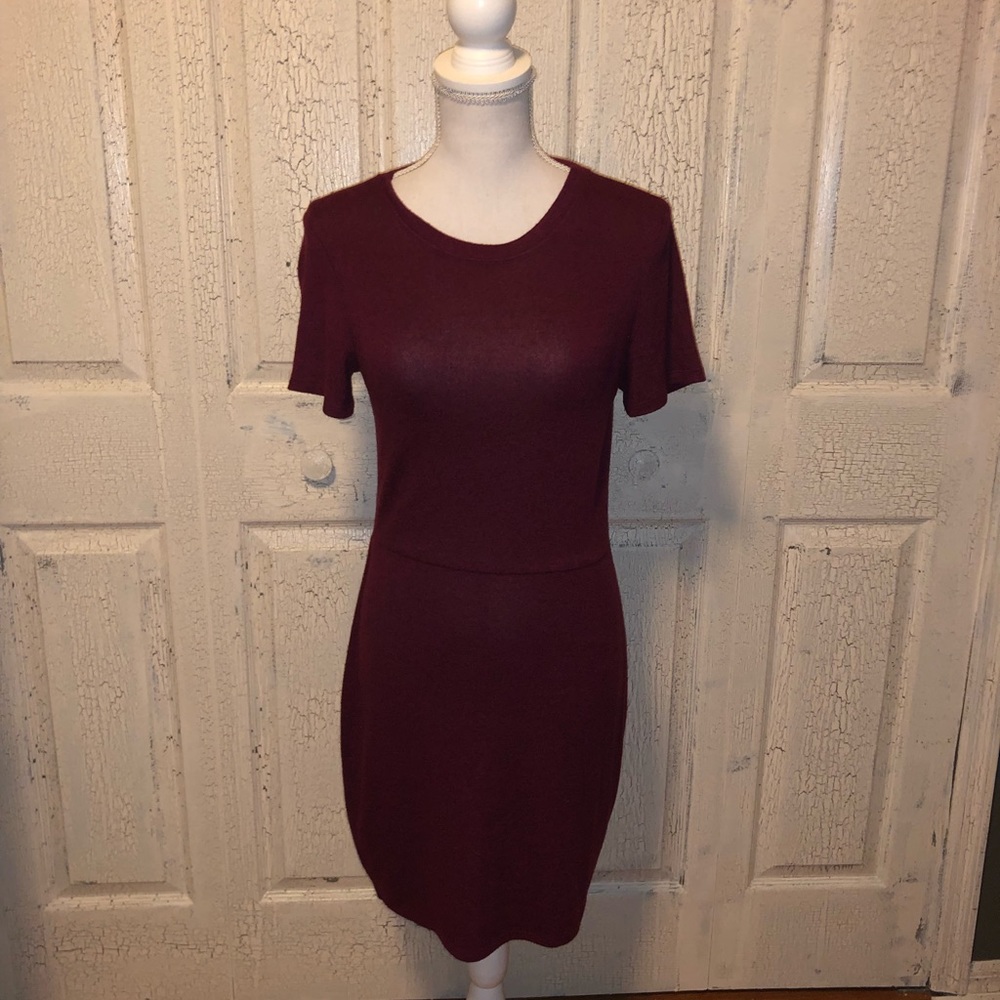 |Donating Soon| EUC Express sweater style knit short sleeve dress. Size small